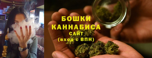 шишки Балахна