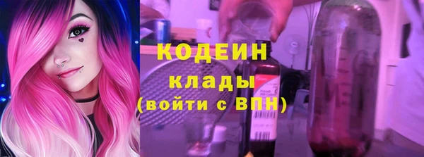 соль ск Богородск
