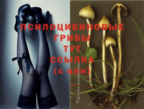 мет Богданович