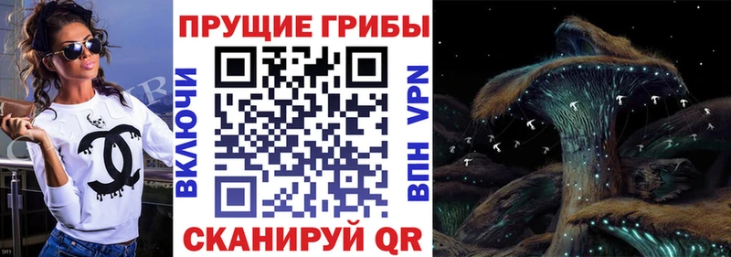 Галлюциногенные грибы Magic Shrooms наркотики blacksprut зеркало Губкинский